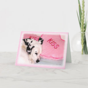 Dalmatian Greeting Card