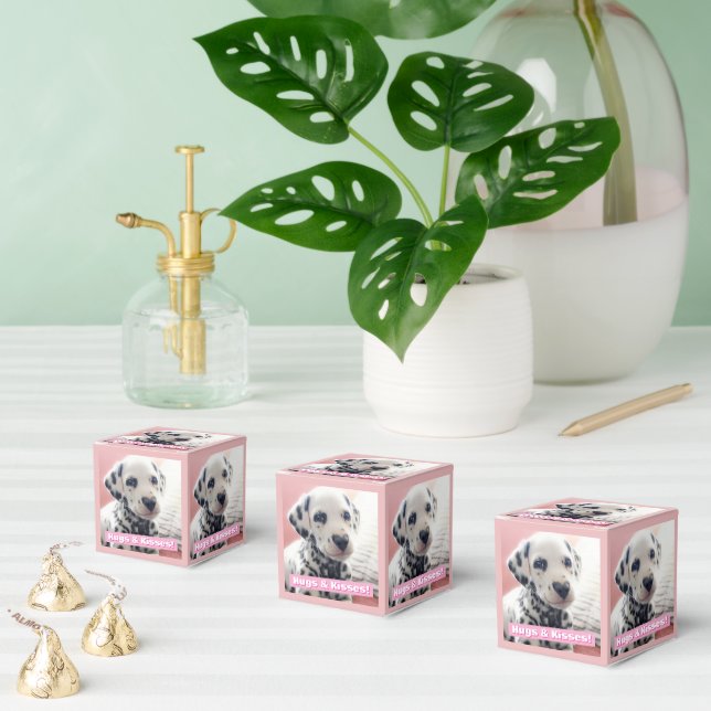 Dalmatian Heart Nose Favour Box (Multiple)