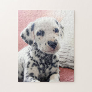 Dalmatian Heart Nose Jigsaw Puzzle