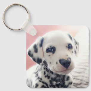Dalmatian Heart Nose Key Ring