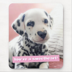 Dalmatian Heart Nose Mouse Mat
