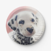 Dalmatian Heart Nose