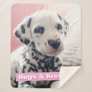 Dalmatian Heart Nose Sherpa Blanket