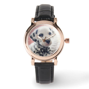 Dalmatian Heart Nose Watch