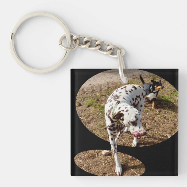 Dalmatian Illusion Window Art, Key Ring (Front)