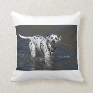dalmatian-in water.png cushion