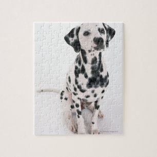 Dalmatian Jigsaw Puzzle