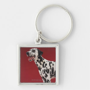 Dalmatian Key Ring