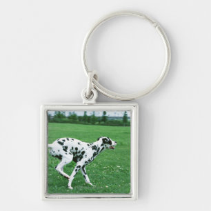 Dalmatian Key Ring