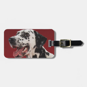 Dalmatian Luggage Tag