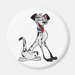 Dalmatian Magnet