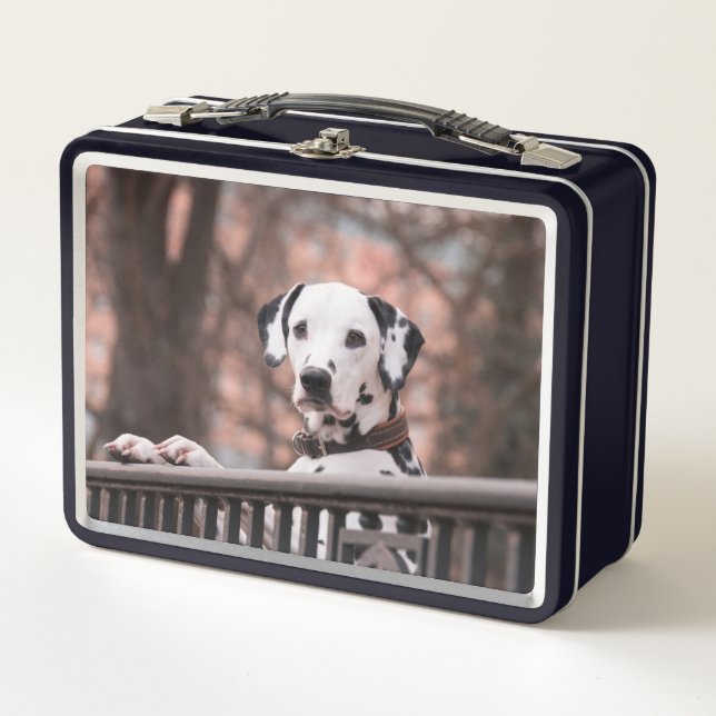 Dalmatian Metal Lunch Box (Front)