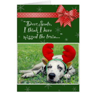 Dalmatian Miss The Train Green