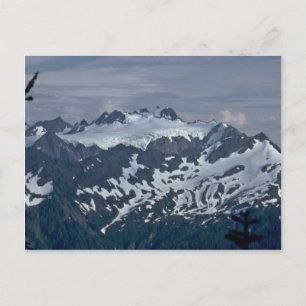 Dalmatian Mountains Postcard