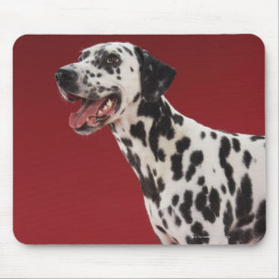 Dalmatian Mouse Mat