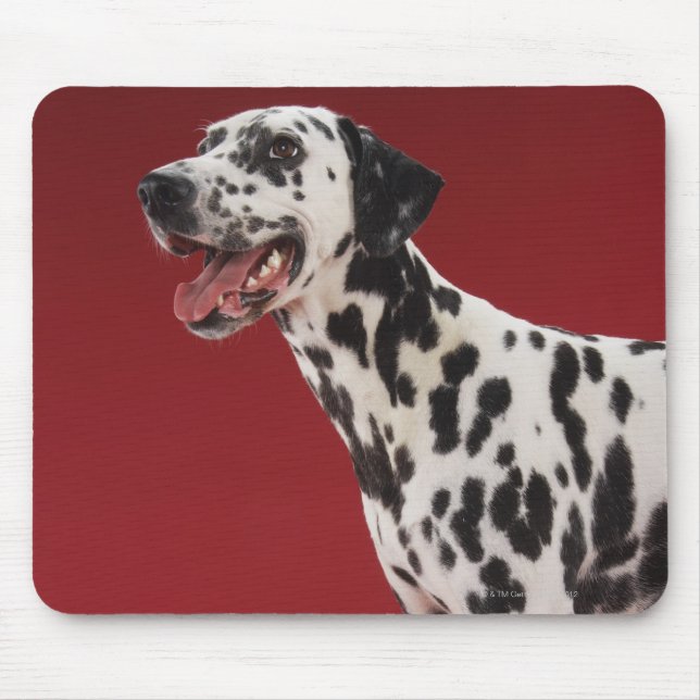 Dalmatian Mouse Mat (Front)