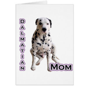Dalmatian Mum 4