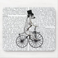 Dalmatian on Bicycle 2