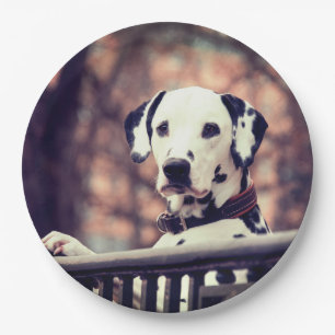 Dalmatian Paper Plate