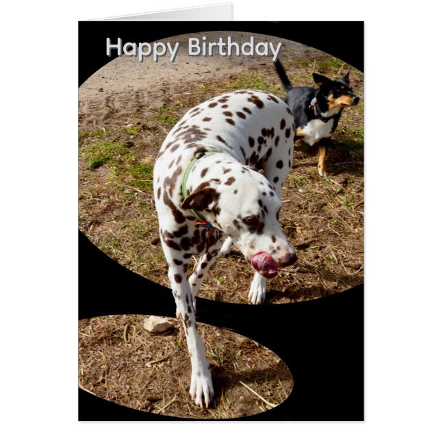 Dalmatian Popout Art, Birthday Card (Front)
