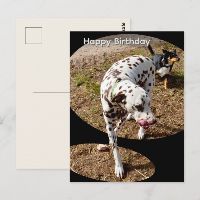 Dalmatian Popout Art, Birthday Postcard (Front/Back)