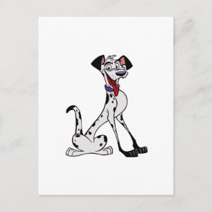 Dalmatian Postcard