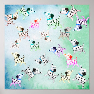 Dalmatian  poster