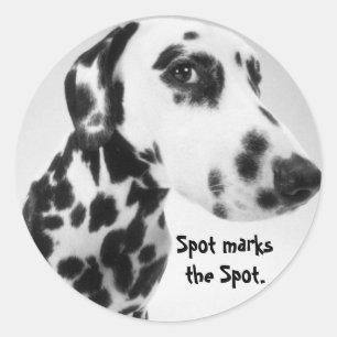 Dalmatian Products Classic Round Sticker