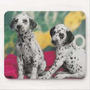 Dalmatian Puppies Mousepad