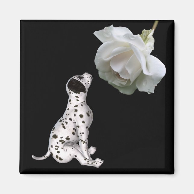 Dalmatian Puppy And White Rose Magnet (Front)