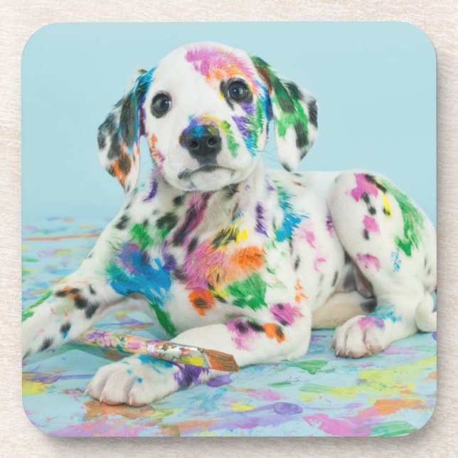 Dalmatian Puppy Coaster (Front)