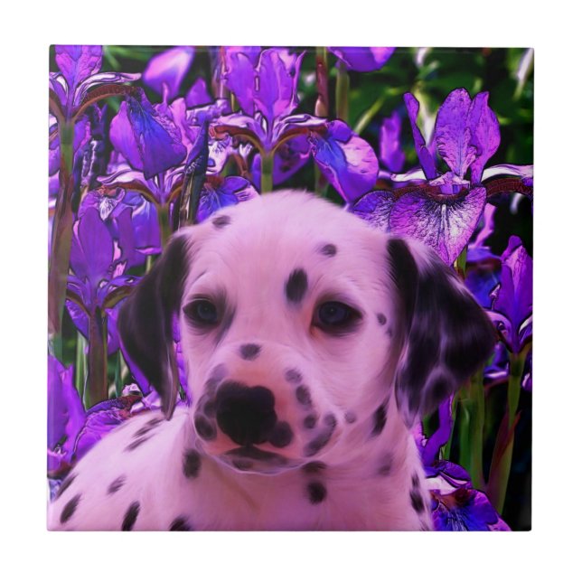 Dalmatian Puppy Dog Art Tile (Front)