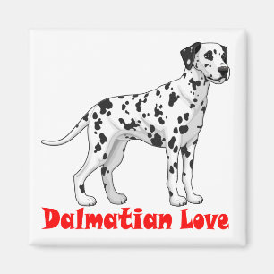 Dalmatian Puppy Dog - Black & White Spotted Pup Magnet