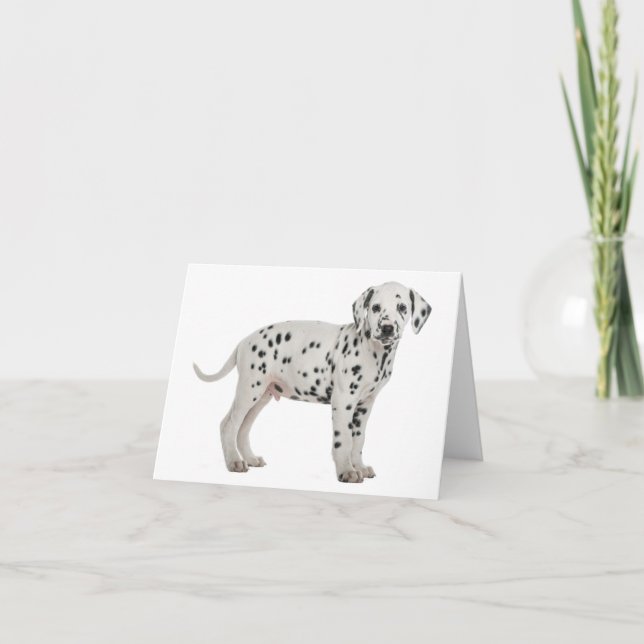 Dalmatian Puppy Dog Hello, Thank You, Love, Sorry Card (Front)