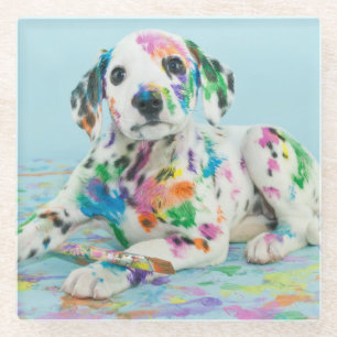 Dalmatian Puppy Glass Coaster