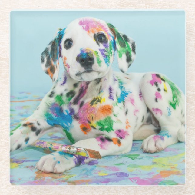 Dalmatian Puppy Glass Coaster (Front)