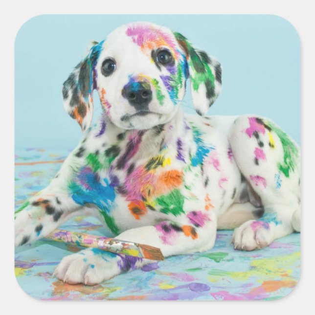 Dalmatian Puppy Square Sticker (Front)