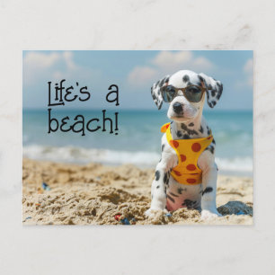 Dalmatian Puppy wearing sunglasses Postcard