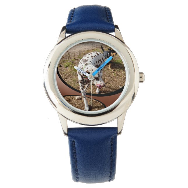 Dalmatian Stepping Out Widow Frame, Watch (Front)