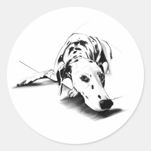 Dalmatian Sticker - Dog Art 
