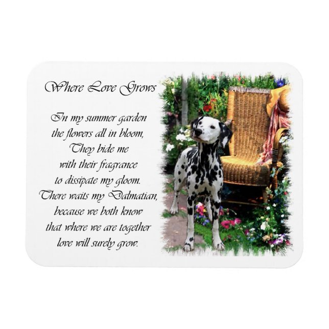 Dalmatian Summer Garden Magnet (Horizontal)