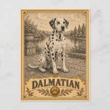 Dalmatian, Vintage Heritage Dog