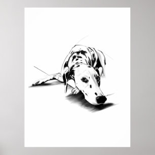 Dalmatian Wall Art Poster – Hand Drawn