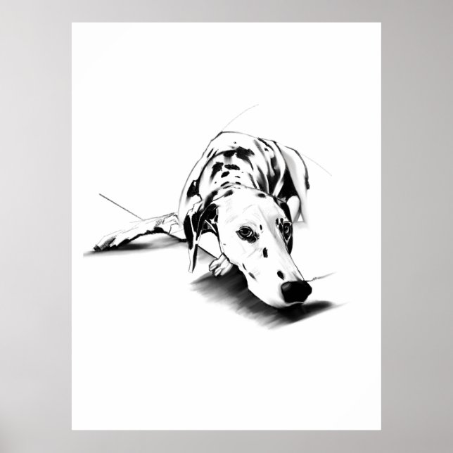 Dalmatian Wall Art Poster – Hand Drawn (Front)