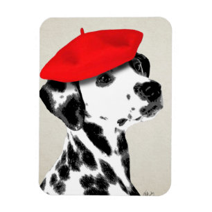 Dalmatian With Red Beret Magnet