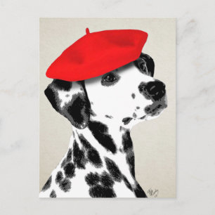 Dalmatian With Red Beret Postcard