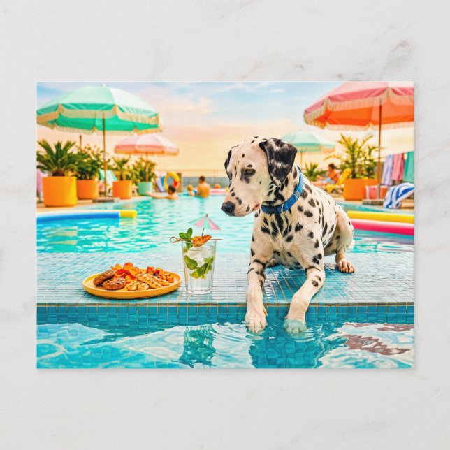 Dalmatian with snack postcard (Front)