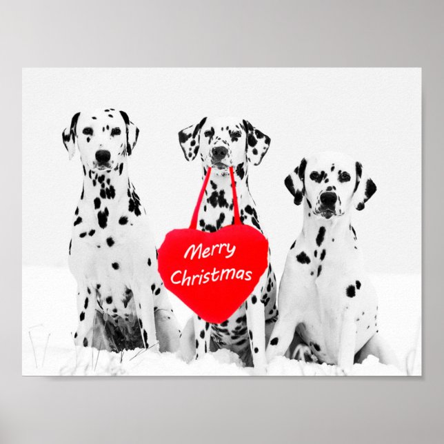 Dalmatians Wishing Merry Christmas poster (Front)
