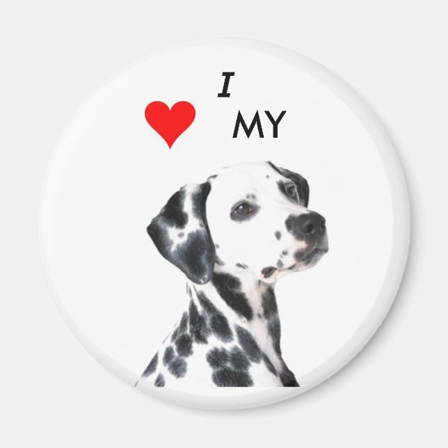 dalmation1, VBRSMCA27ZNVGCAQG0F1BCAMZLQ8CCA0X9H... Magnet (Front)