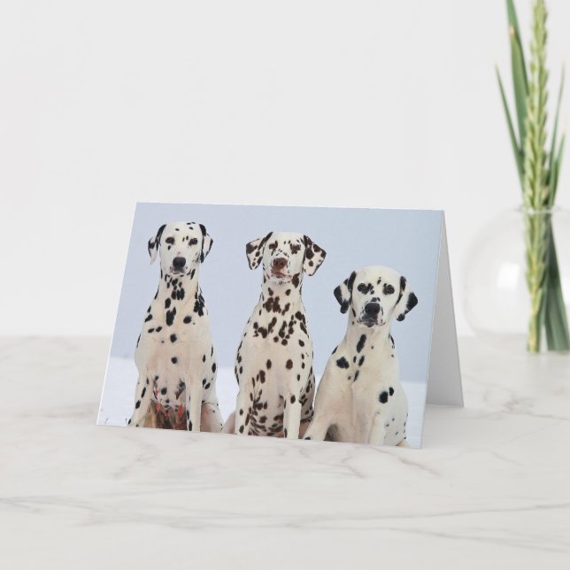 Dalmation Card (Front)